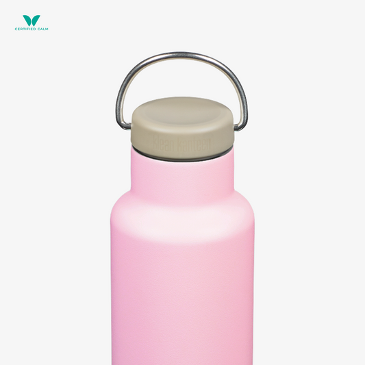 Klean Kanteen 20oz Classic Insulated Water Bottle with Loop Cap