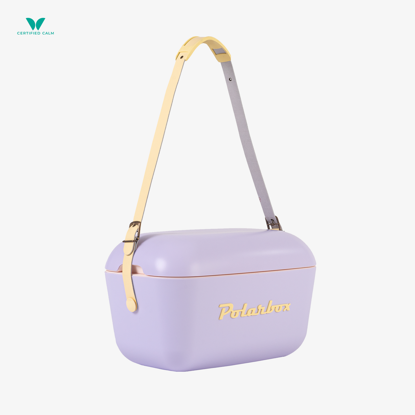 PolarBox Retro Cooler 20L