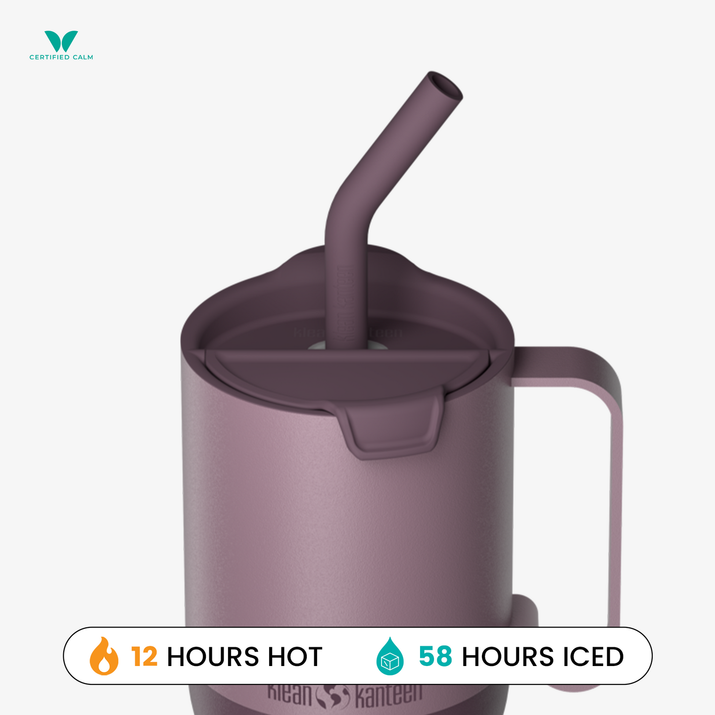 Klean Kanteen 36oz Rise and GO Tumbler with Straw Lid (Orchid Bloom and Berry Blossom in variants!)