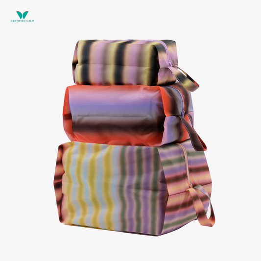 Baggu 3D Zip Set