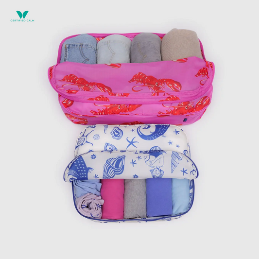 Baggu Large Packing Cube Set