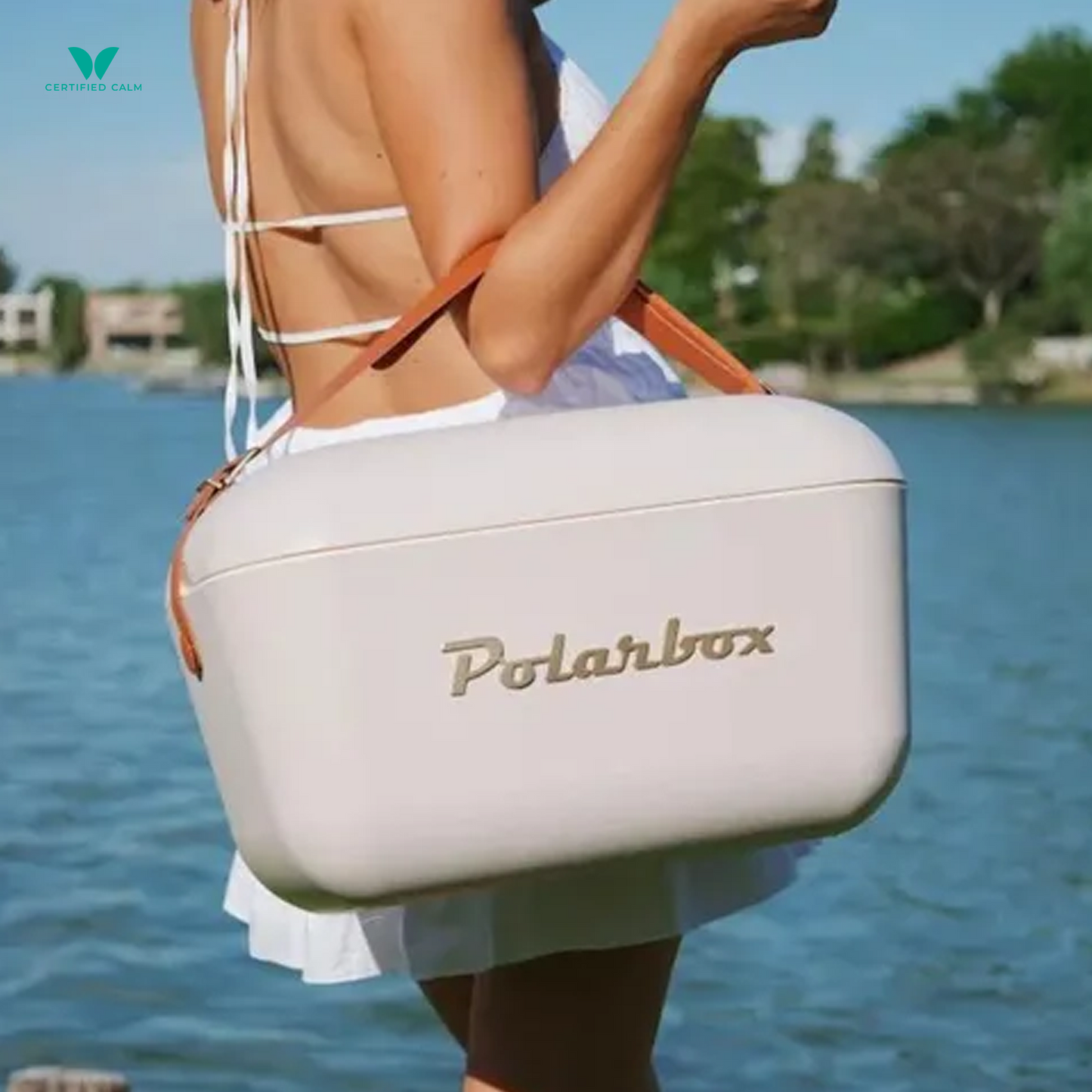 PolarBox Retro Cooler 12L - Pearl Gold