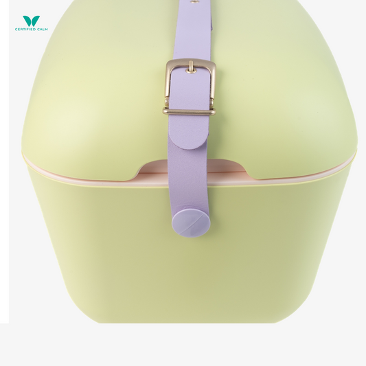 PolarBox Retro Cooler 20L - Lime Lilac Pop