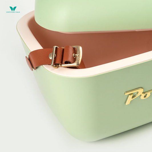 PolarBox Retro Cooler 20L - Olive Gold