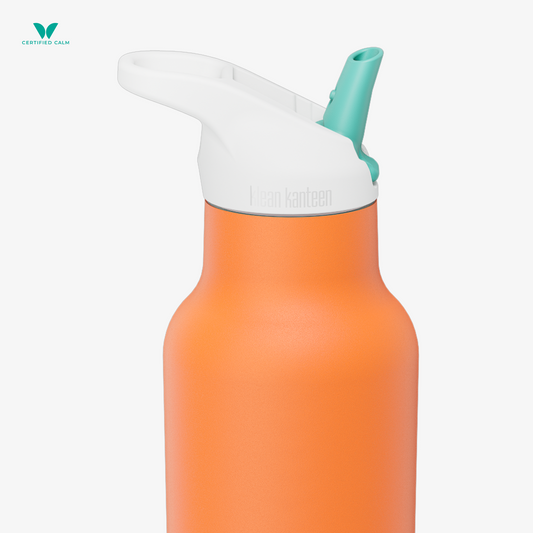 Klean Kanteen Rise 16oz Classic (w/ Flip Seal Sport Cap)