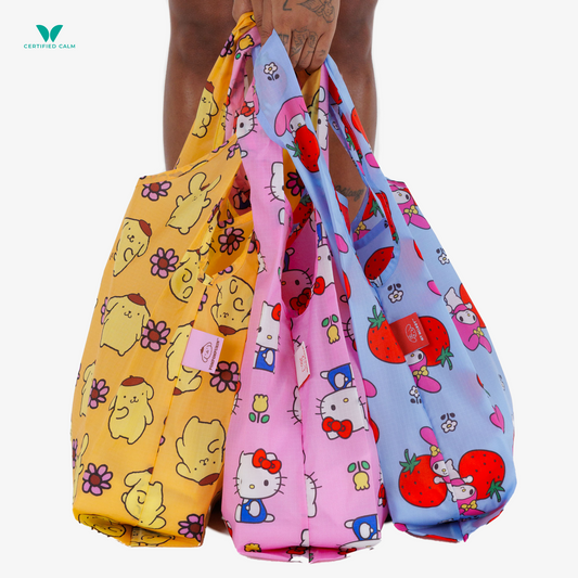 Set of 3 Standard Baggu Reusable Bags