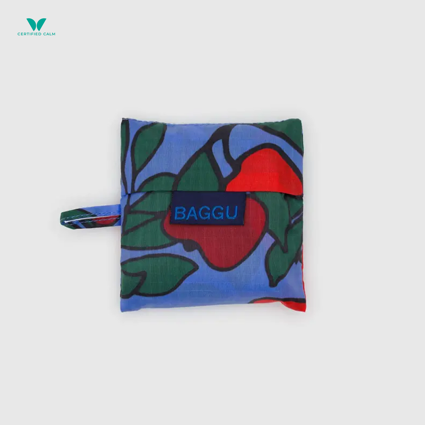 Big Baggu Reusable Bag