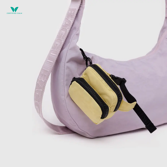 Baggu Fanny Pack Charm