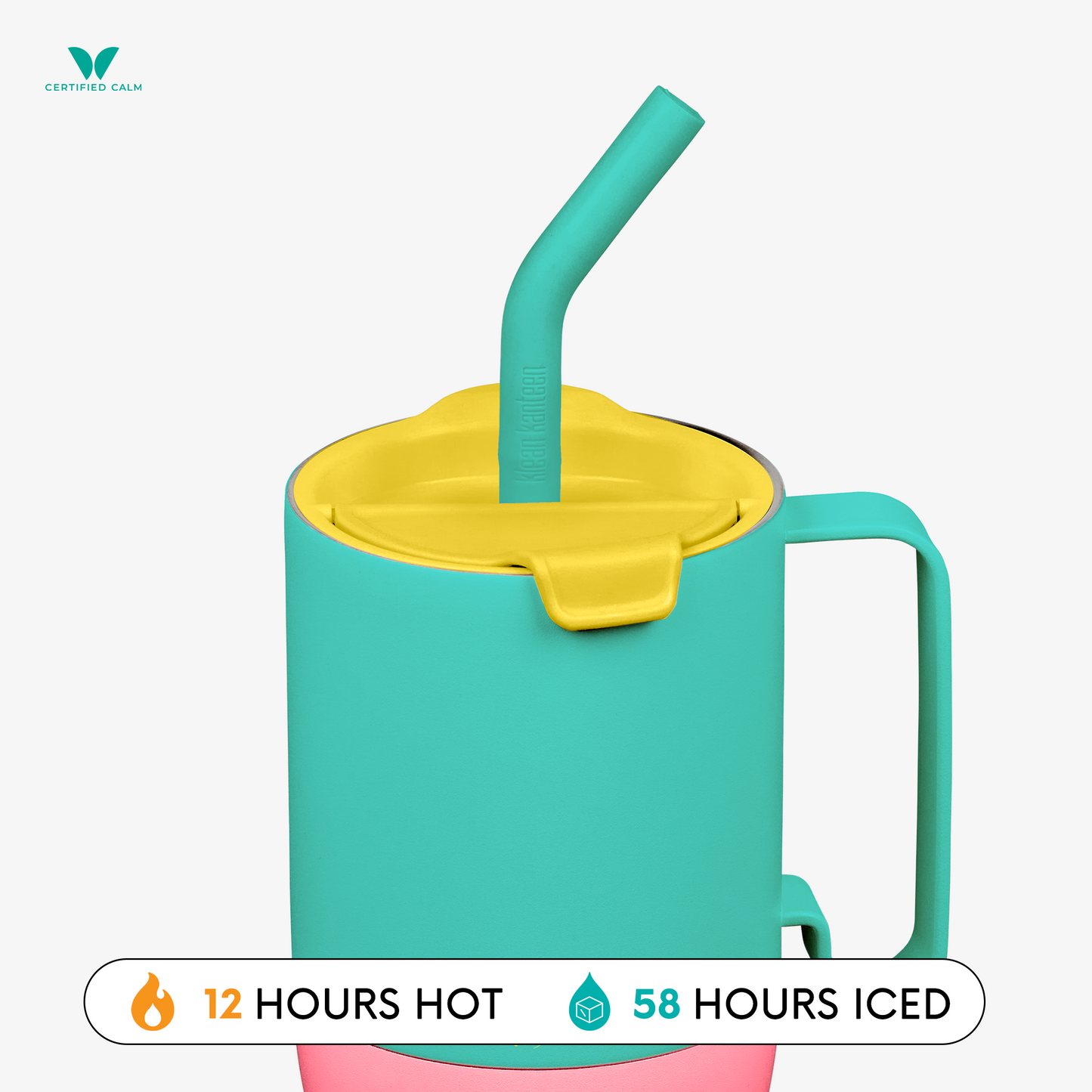 Klean Kanteen 36oz Rise and GO Tumbler with Straw Lid (Orchid Bloom and Berry Blossom in variants!)