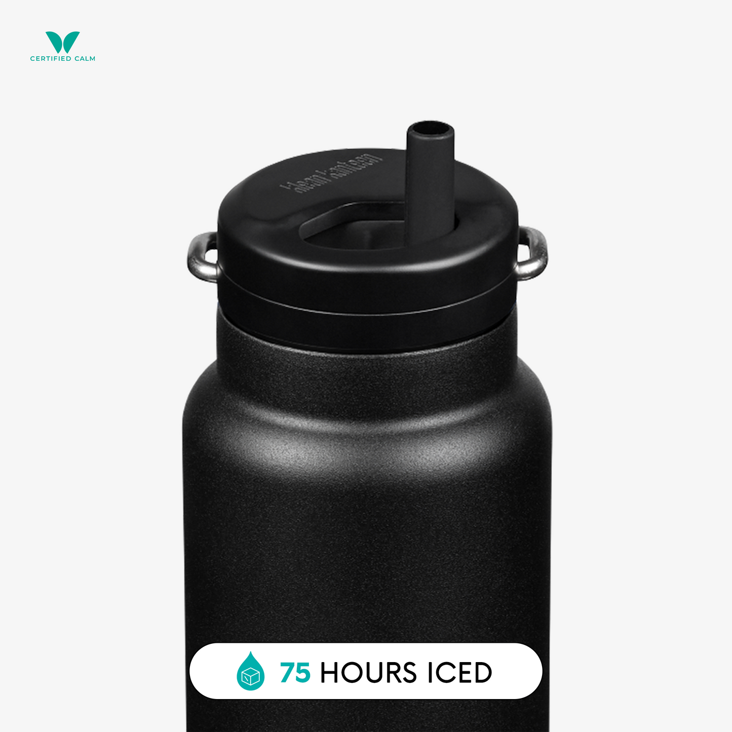 Klean Kanteen 32oz TKWide Insulated Tumbler with Twist Cap