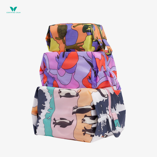 Baggu 3D Zip Set