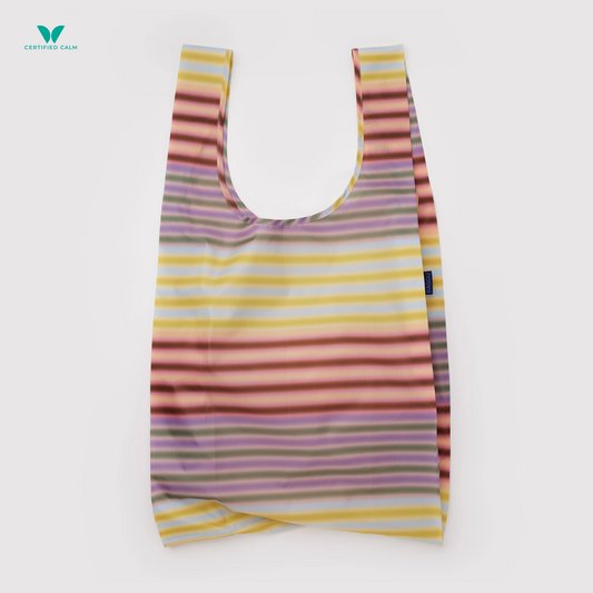 Big Baggu Reusable Bag