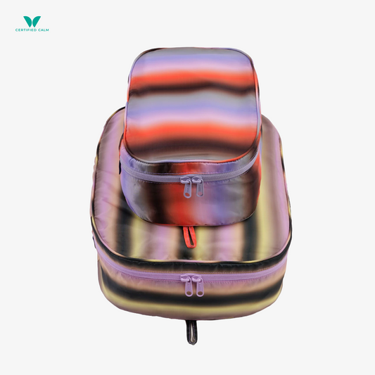 Baggu Large Packing Cube Set