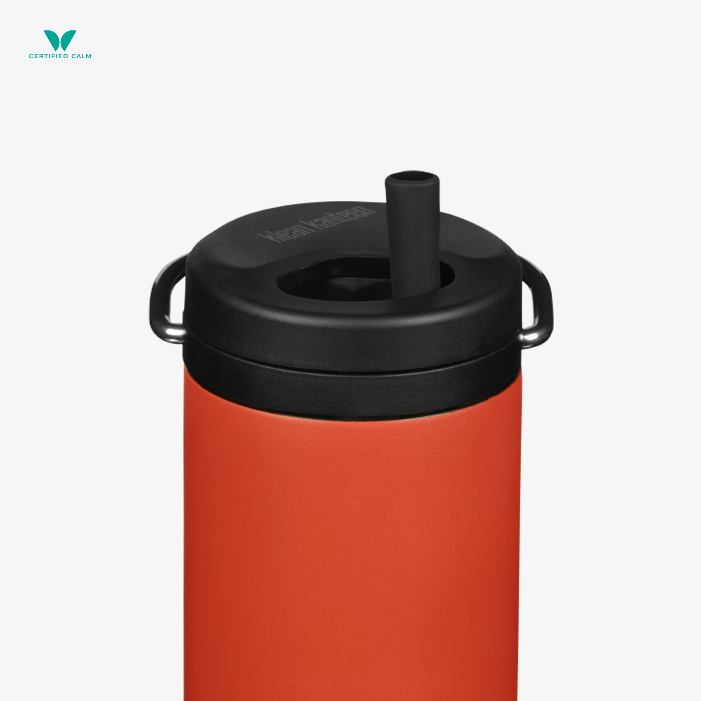 Klean Kanteen TKWide Accessories Twist Cap with Straw Kit