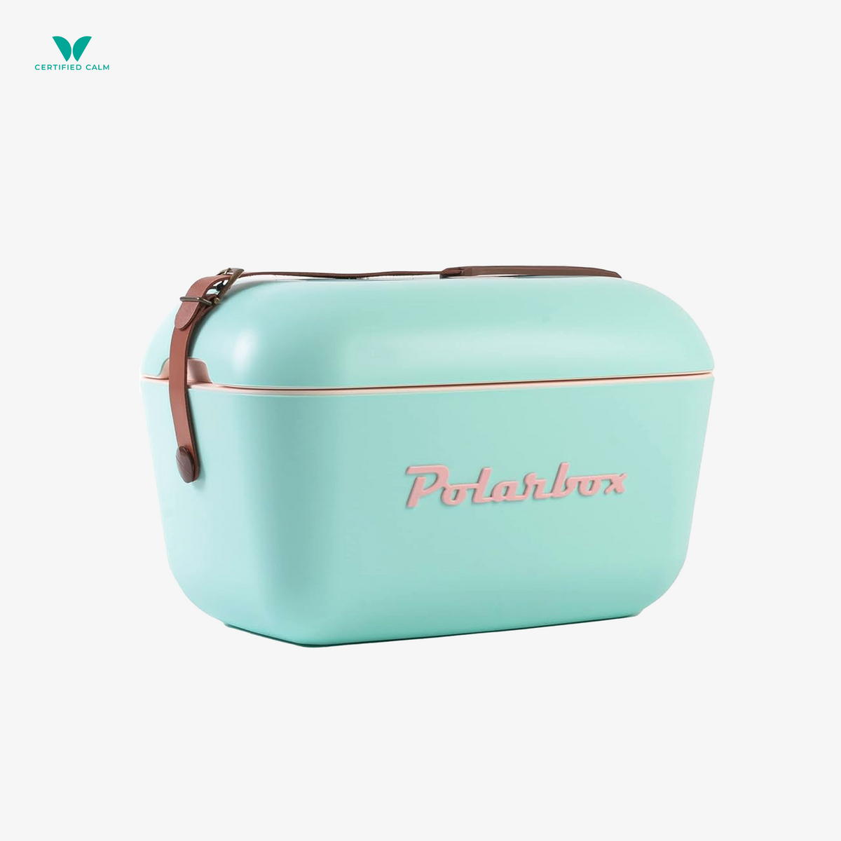 PolarBox Retro Cooler 12L-Cyan Rosa Classic