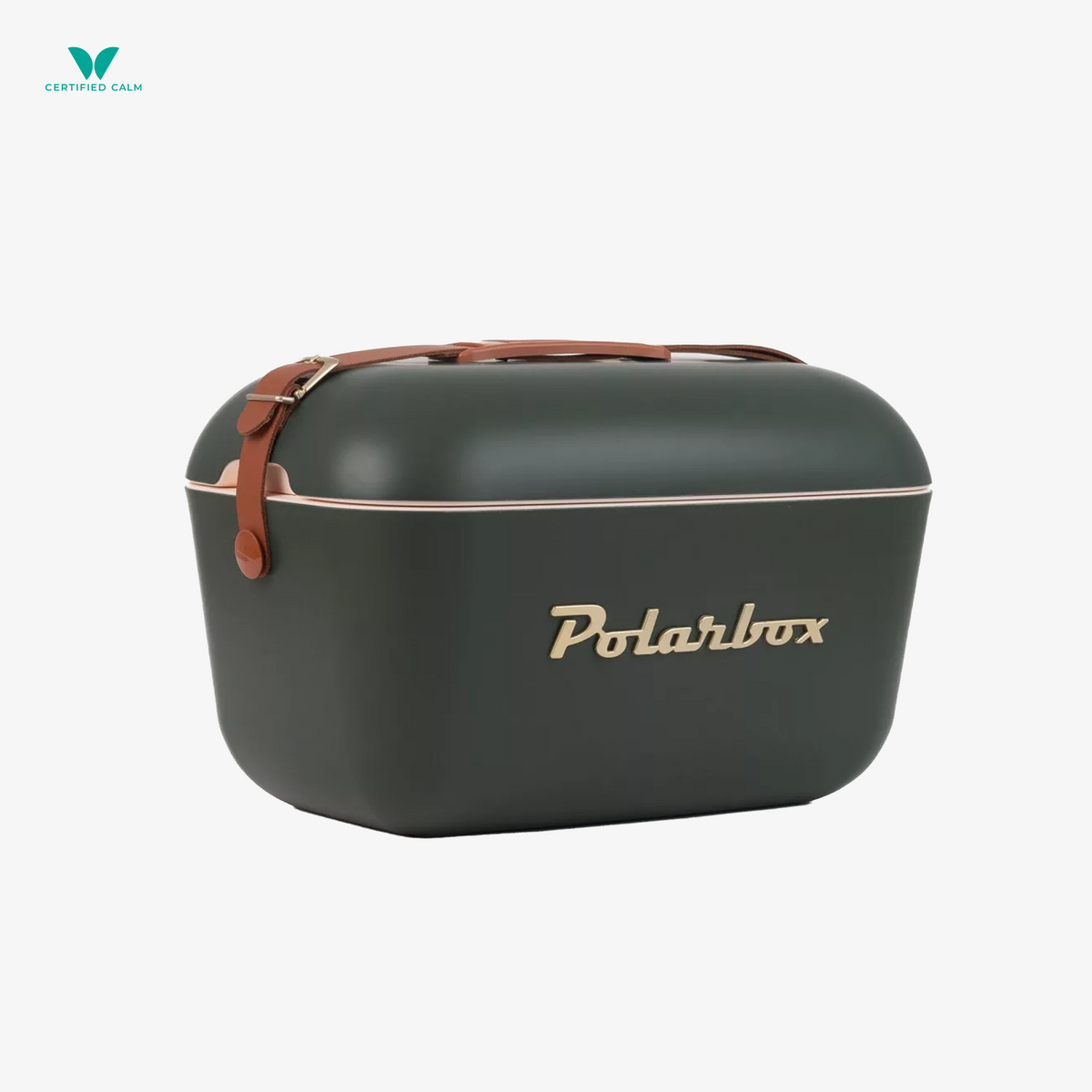 PolarBox Retro Cooler 12L-Green Forest Gold