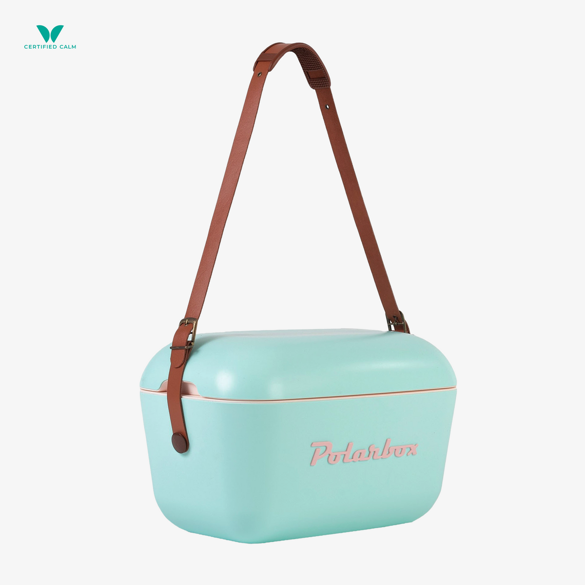 PolarBox Retro Cooler 12L-Cyan Rosa Classic
