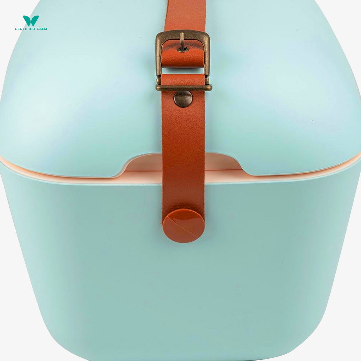PolarBox Retro Cooler 12L-Cyan Rosa Classic
