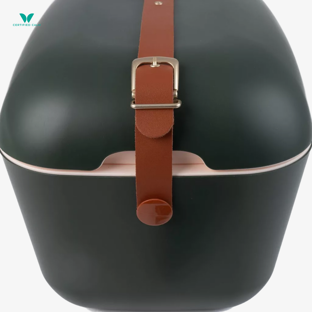 PolarBox Retro Cooler 20L-Green Forest Gold